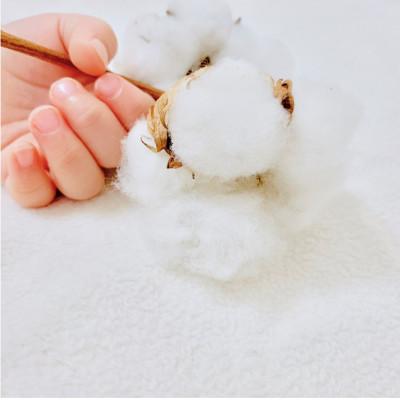 ふるさと納税 和泉市 【シングル】オーガニックコットンタオルケット(145×190cm)キナリ　5774-KI |  | 03