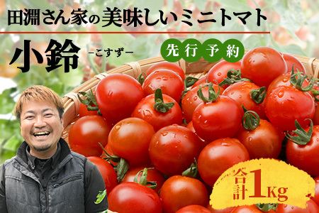 【先行予約】田淵さんちの美味しいミニトマト 小鈴（約1.0kg）| 野菜 トマト ミニトマト 産地直送 ミニトマト 新鮮 トマト 南大隅町産 ミニトマト おいしい  ミニトマト(BV708)