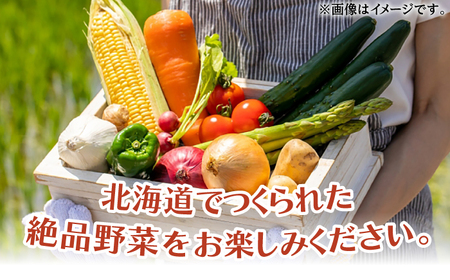 【ニセコ町産】旬の野菜詰合せ　2024年発送【先行予約】