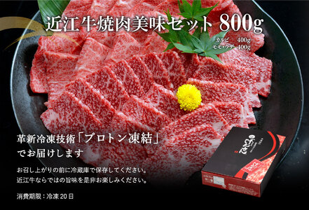 【3月末までに発送】近江牛A5ランク焼肉美味セット【800g】【DG10SM-3m】