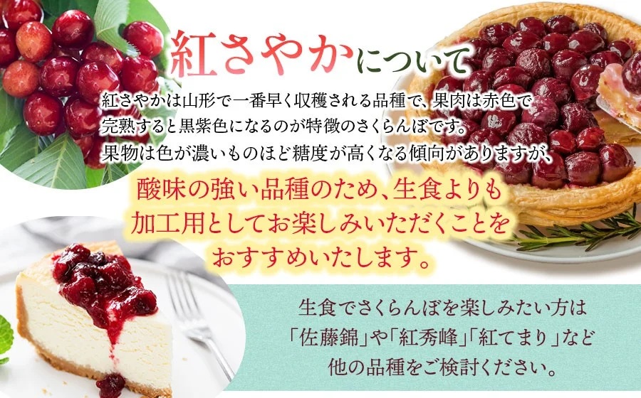【令和8年産先行予約】 さくらんぼ 紅さやか Lサイズ フードパック 800g（200g×4p） 山形県鶴岡産　鈴木さくらんぼ園