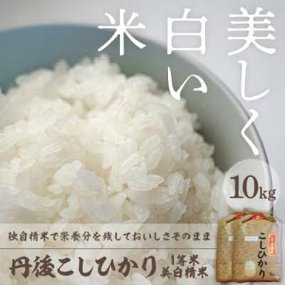 ふるさと納税 京丹後市 令和8年産　丹後こしひかり1等米10kg　美白精米[5kg×2袋]