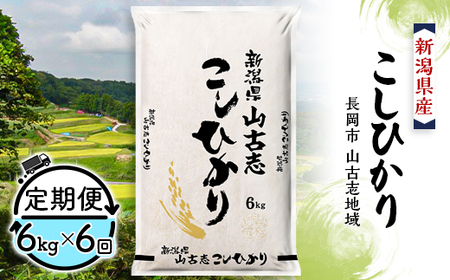 75-BY066【6ヶ月連続お届け】新潟県長岡産コシヒカリ山古志地域棚田米6kg
