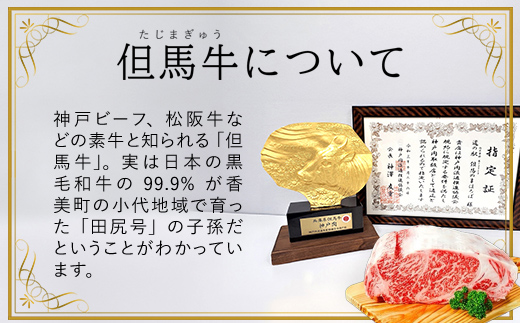 もつ鍋にも!【但馬牛】特選ミックスホルモン1kg(500g×2P)【配送不可地域：離島】神戸牛 神戸ビーフ 牛肉 黒毛和牛 国産牛 ブランド和牛 ホルモン ミックスホルモン 1キロ 兵庫県 朝来市 A