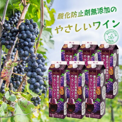 【ふるさと納税】ワイン 酸化防止剤無添加のやさしいワイン 濃い赤 紙パック 1.8L 6本 セット_ ふるさと納税 ふるさと 赤ワイン お酒 酒 アルコール 山梨県 山梨市 山梨 人気 美味しい 送料無料【1466538】