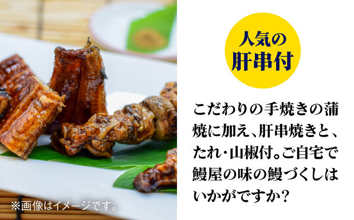 うなぎ ウナギ 鰻  蒲焼き