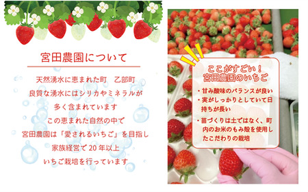 ＜すずあかね 2パックセット＞宮田農園こだわりの夏いちご！ 北海道 夏いちご すずあかね 甘酸っぱい