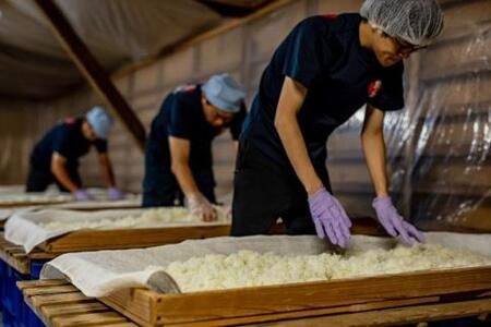 【ご自宅用】ごめんなさいプロジェクト商品　特別純米　土佐の詫酒　御免　720ML