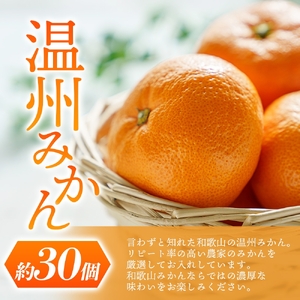 【先行予約】道の駅くしがきの里セット富有柿3個・温州みかん約30個の詰め合わせ こだわり農家厳選【2025年11月中旬頃から2026年1月中旬頃順次発送】/ みかん 温州みかん 柿 富有柿 かき 詰め