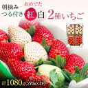 【ふるさと納税】おめでた紅白2種いちご 4パック （11下旬～12月中旬発送） いちご 果物 フルーツ 苺 イチゴ くだもの とちあいか ミルキーベリー 朝取り 新鮮 美味しい 甘い　お届け：2024年11月20日～12月20日まで