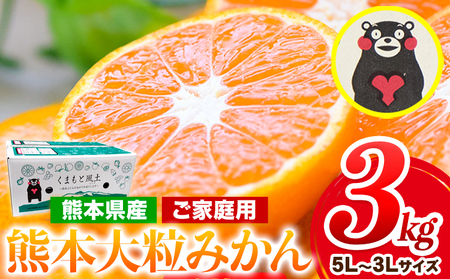 訳あり 大粒みかん 約3kg 《2026年1月中旬-2月末頃出荷》みかん 訳ありみかん 熊本県産みかん 大容量