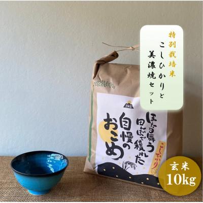ふるさと納税 多治見市 【令和7年産:玄米】特別栽培米コシヒカリ(10kg)+【美濃焼】青輝貫入茶碗