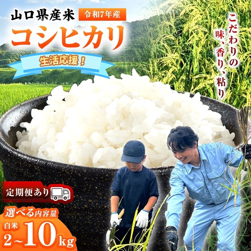 【ふるさと納税】令和7年産 山口県産米 コシヒカリ 選べる内容量 / 定期便 （ 2kg ～ 10kg ）1回 / 定期便2 ~ 3回 ｜ 生活応援 令和7年産 コシヒカリ 山口県産米 こめ お米 コメ 白米 山口県 平生町 2kg 5kg 10kg