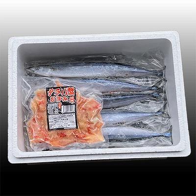 ふるさと納税 根室市 タラバガニむき身300g・冷凍さんま5尾×3P B-76037 |  | 01