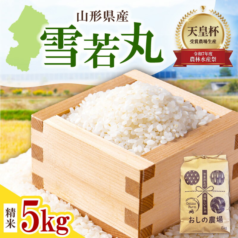 【ふるさと納税】 雪若丸 5kg ( 5kg × 1袋 ) 令和7年産 2025年産 米 コメ お米 精米 ブランド米 白米 ご飯 おにぎり お弁当 小分け おすそ分け お取り寄せ 送料無料 産地直送 山形 【 山形県 天童市 】
