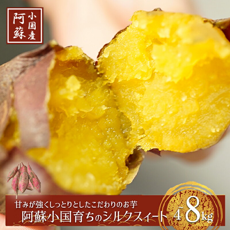 【ふるさと納税】令和7年産 熟成 小国シルクスィート 4kg 8kg サイズおまかせ 容量選択 さつま芋 唐芋 長期貯蔵 産地直送 まとめ買い 九州産 熊本産 地場産 スイーツ 蜜芋 贈答 ご家庭用 焼き芋 GAP認証 6次産業認定 認定農家 送料無料【地場産品基準：類型1】