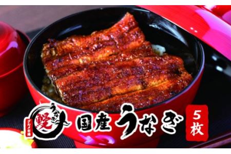 国産うなぎ 関西風蒲焼 大サイズ５枚(合計約750g)薬味付【古座川グルメ市場】【miw107】