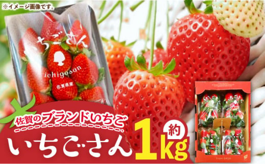 
【佐賀のブランドいちご】いちごさん 約1kg（約250g×4p）/中村青果店 [UDK007] いちご イチゴ 苺 果物 フルーツ
