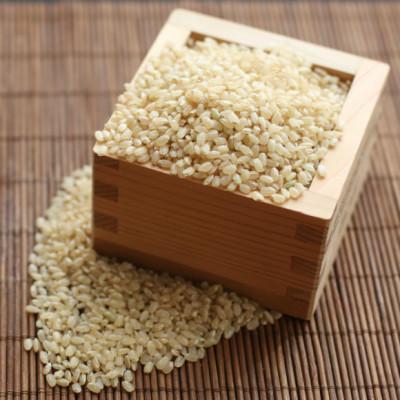 ふるさと納税 鶴岡市 【令和7年産】馬町さくらファームのはえぬき玄米10kg(5kg×2袋)[K-774] |  | 02