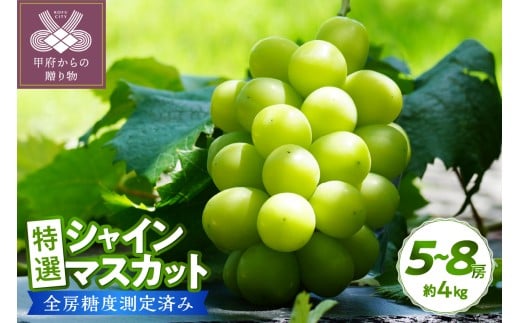 〈2026年度配送分〉【全房糖度測定済み】 山梨県産 特選シャインマスカット 5～8房（約4kg) シャインマスカット 先行予約 2026年 山梨県 ブドウ 種なし リピーター多数 数量限定 草生栽培 5～8房 約4.0kg 糖度測定 2026年8月上旬より順次配送予定