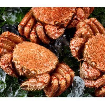 ふるさと納税 森町 前浜茹で毛がに 約320g〜360g×2尾 |  | 02