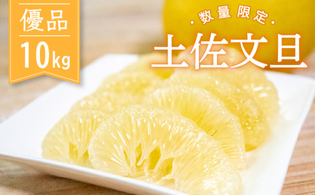 北川果樹園 土佐文旦10kg 文旦