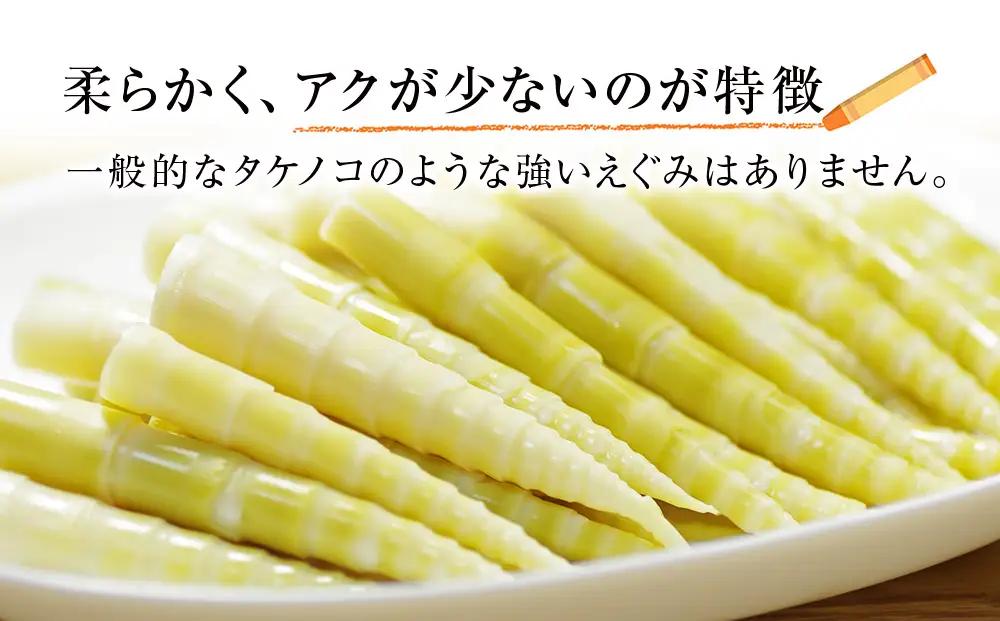 天然 根曲がり竹 2kg 根曲竹 ネマガリタケ 姫竹 笹竹
