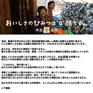 井出農園 露地すだち いでプリンス 家庭用 2kg