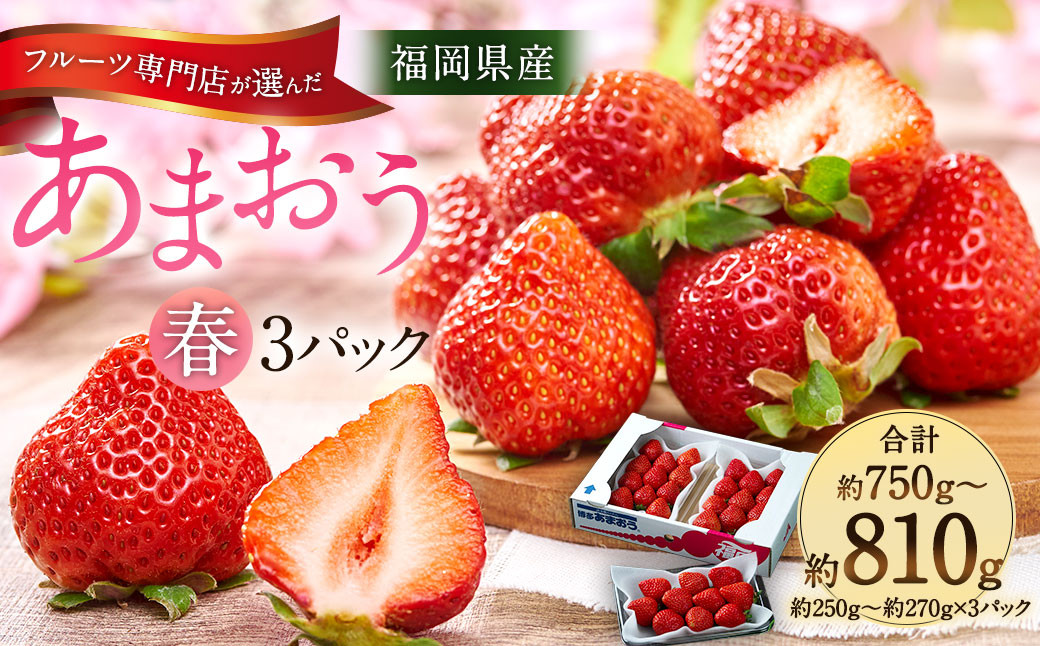 
             福岡産【春】あまおう3パック いちご フルーツ デザート【2026年2月上旬～3月下旬発送予定】
          