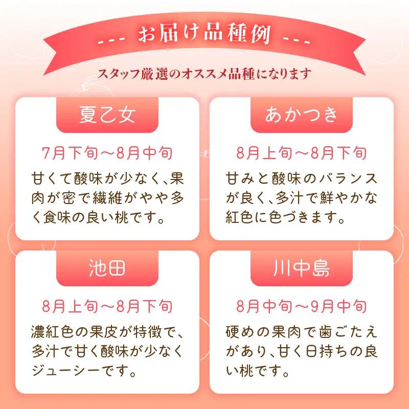 ≪先行受付≫ froSchがお届けするおまかせ白桃 約2kg 【2026年7月下旬より順次発送予定】 060-001