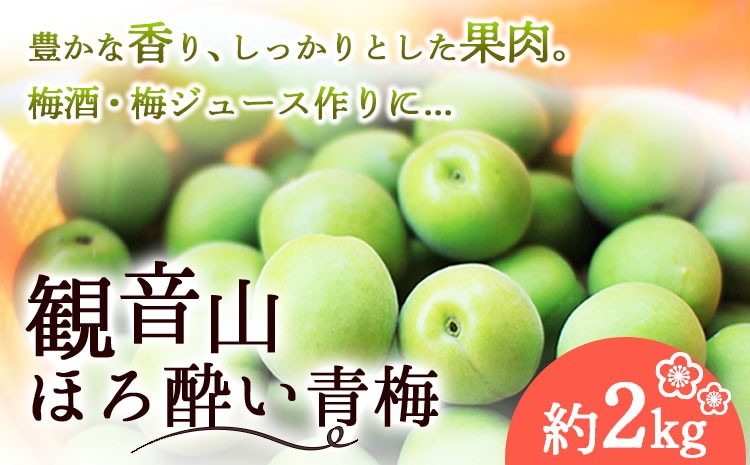 
                  【先行予約】観音山ほろ酔い青梅 2kg 有限会社柑香園 《2026年6月上旬-6月下旬頃出荷》 和歌山県 紀の川市 梅
                