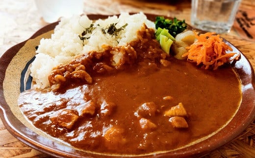 
素材にこだわった！ スパイス カレー ＜ 四万十 チキン ・土佐・なす キーマ （3種3食）＞と 四万十 鶏 うま塩 ネギ からあげ（2食） セット 〔冷凍〕［1625］
