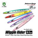 【ふるさと納税】鉄ジグ WR（WiggleRider/ウィグルライダー） 100g ～ 300g 16色 ルアー 釣具 釣り具 フィッシング 鉄製 魚 釣れる 人気 おすすめ ギフト お中元 お歳暮 ふるさと 返礼品 六ヶ所村 青森 送料無料 【青森宝栄工業】