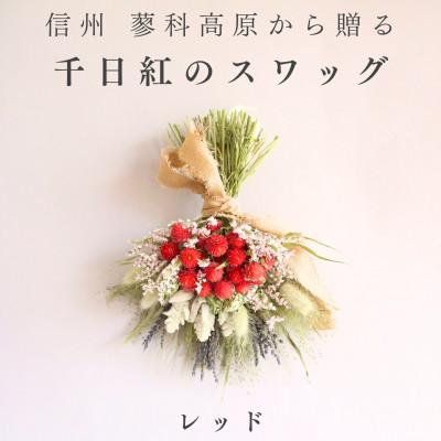 ふるさと納税 茅野市 信州八ヶ岳の麓から贈る 千日紅のドライフラワースワッグM(レッド)
