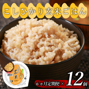 【定期便6回】 玄米ごはんパック 160g 12個 こしひかり
