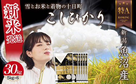 令和7年産 新潟県 魚沼産 コシヒカリ お米 30kg （5kg×6袋） 精米済み お米 こめ 白米 新米 こしひかり 送料無料 魚沼 十日町