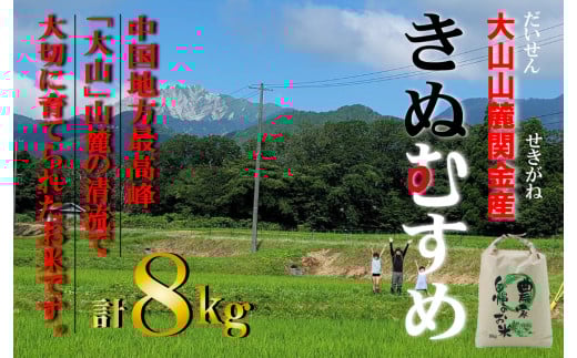 【令和７年産米】 【数量限定】大山山麓関金産 きぬむすめ 8kg (5kg×1袋、3kg×1袋) 令和7年産 新米 お米 米 こめ コメ 白米 ブランド おいしい 健康 産地直送 きぬむすめ