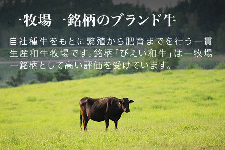 ファームズ千代田　「びえい和牛」カルビ540g[024-21]