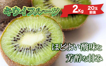 【予約受付】湯の花 キウイフルーツ 2kg（20玉前後）【 キウイ 果物 くだもの】