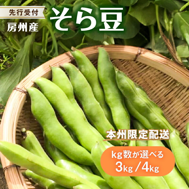 【ふるさと納税】【先行受付 2026年4月中旬～5月中旬発送予定】そら豆/ソラマメ【kg数が選べる】 千葉県 南房総市 新鮮 栄養素 カリウム ミネラル ビタミン類 豊富 植物性タンパク質 塩茹で 皮ごと パスタ グルメ 送料無料