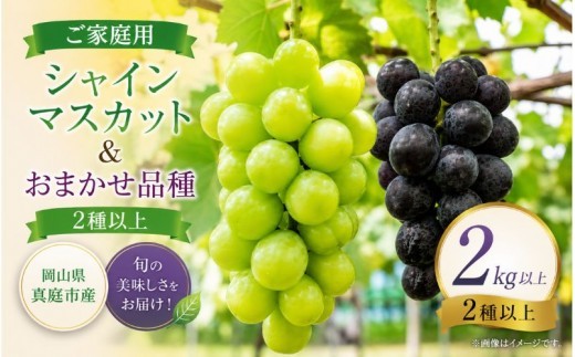 【2026年先行予約】【ご家庭用】シャインマスカット＆おまかせ(紫苑 or ピオーネ or オーロラブラック) 2kg以上2種以上｜ 岡山 ぶどう シャインマスカット マスカット しゃいんますかっと 葡萄 産地直送 種なし 皮ごと 岡山 真庭市 ぶどう 【fsfm008-01】