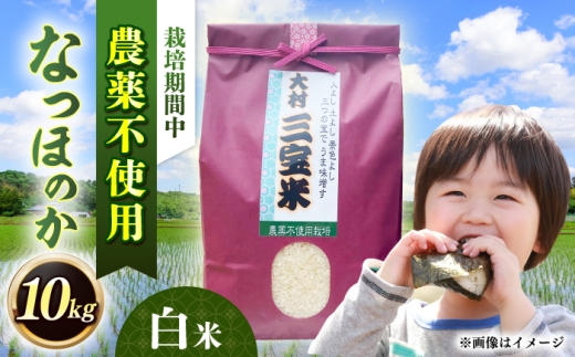 【栽培期間中農薬不使用】R8年度米 白米 なつほのか 10kg 大村市 たぬき池自然農園/ 米 白米 10kg [ACCJ004]
