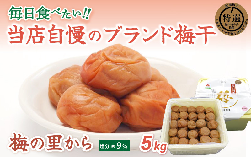 
梅の里から5kg （塩分９％） / 田辺市 紀州南高梅 南高梅 梅干し 梅干 梅 ご飯のお供
