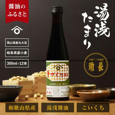 ふるさと納税 湯浅町 湯浅町産 湯浅たまり 3.6kg (300ml×12本)
