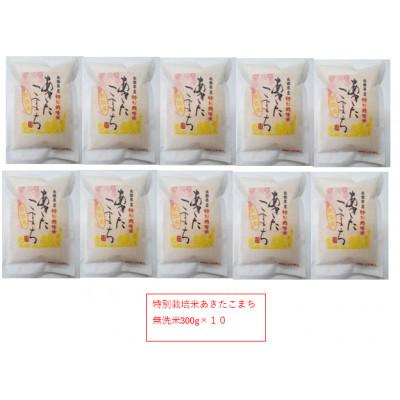 ふるさと納税 大潟村 令和7年産特別栽培米あきたこまち無洗米3kg【300g(2合)×10個】使いやすくプレゼントにも便利 |  | 01