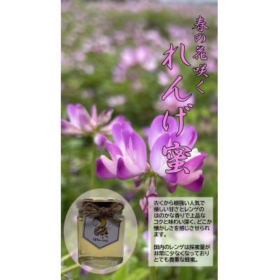 ふるさと納税 森町 【春の花咲く】国産れんげ蜂蜜 120g【森町SF】 |  | 01