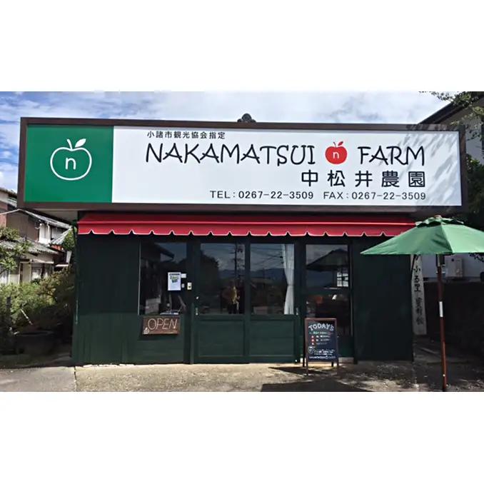 りんご 中松井農園のサンふじ 約3kg りんご