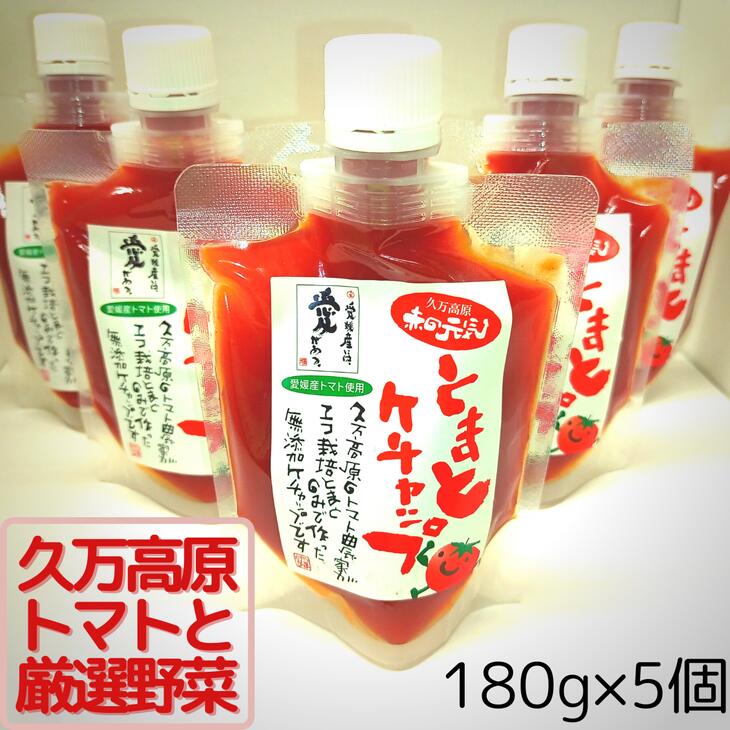 【ふるさと納税】赤の元気「トマトケチャップ」5個セット 無添加◆ ｜ 完熟トマト 詰め合わせ 個包装 トマト ケチャップ 保存料不使用 料理 調味料 濃い 多用途 おすすめ 人気 万能調味料 ベジタブル 濃厚 野菜 ソース パスタ 無添加 愛媛 久万高原町 赤の元気
