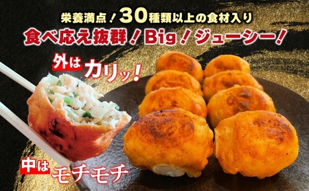 餃子のはながさ ホワイト餃子 64個 16個×4パック 冷凍 中華 点心 B級グルメ ご当地 野菜 おつまみ おかず 簡単調理 時短 豚肉 ポーク 大きめ ジューシー ギフト お取り寄せ 日高市