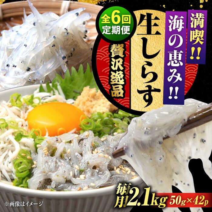 【ふるさと納税】【全6回定期便】鮮度抜群 生しらす 50g×42個 しらす 釜揚げ 冷凍 シラス 小分け パック 干し 魚介類 鮮魚 海鮮 海産物 セット 詰め合わせ ギフト 広島県産 人気 送料無料 江田島市/三島水産株式会社[XCN018]
